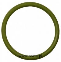 ORING - USZCZELKA DO POMPY ORION